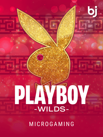 Playboy Wilds cover image